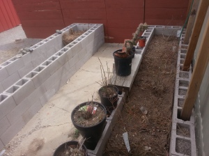 Raised Beds 7 and 1